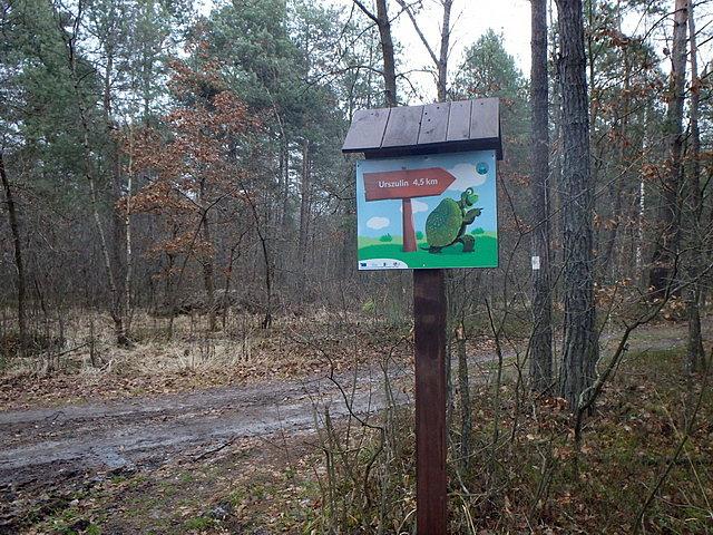 Oznakowanie dróg prowadzących do pobliskich miejscowości