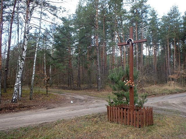 Krzyż na szlaku - obszar "Natura 2000" Ostoja Poleska