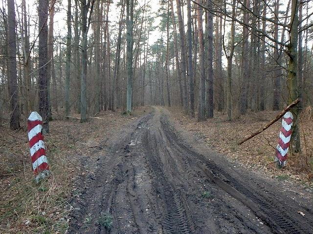 Po drodze spotykałem ścieżki oznaczone dziwnymi słupkami