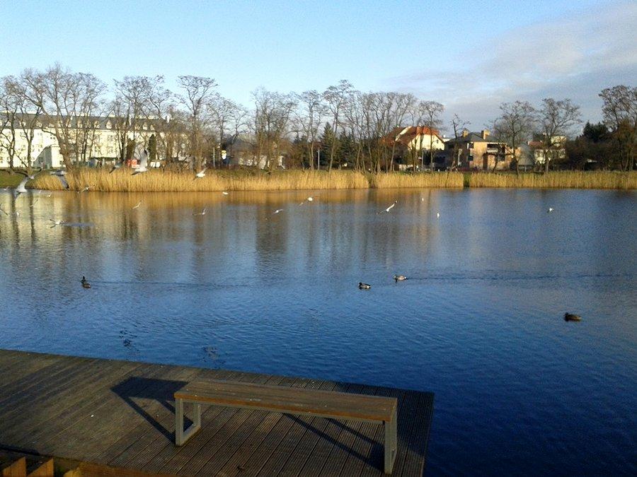 Park Cietrzewia