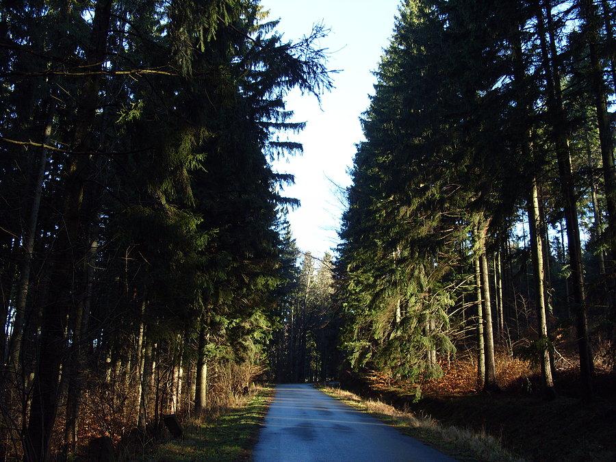 Poranek i podjazd na szczyt Wojciechowic