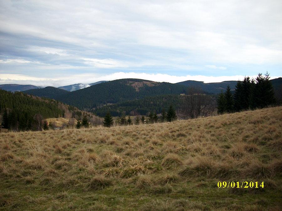 Widok