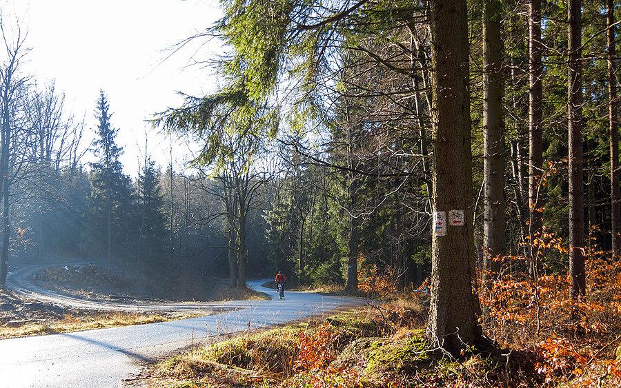 Podjazd pod Wojciechowice o poranku