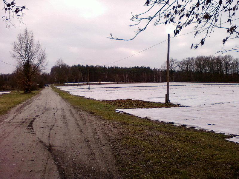 Zabazpieczenie upraw