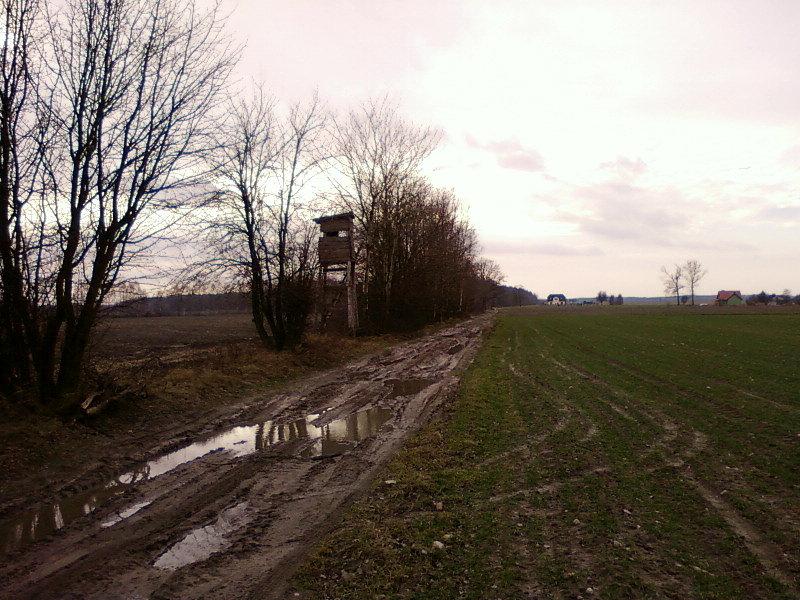 Błotnista polna droga
