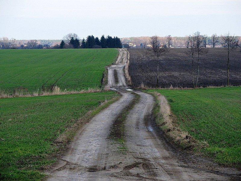 Polnymi drogami do Bieganowa