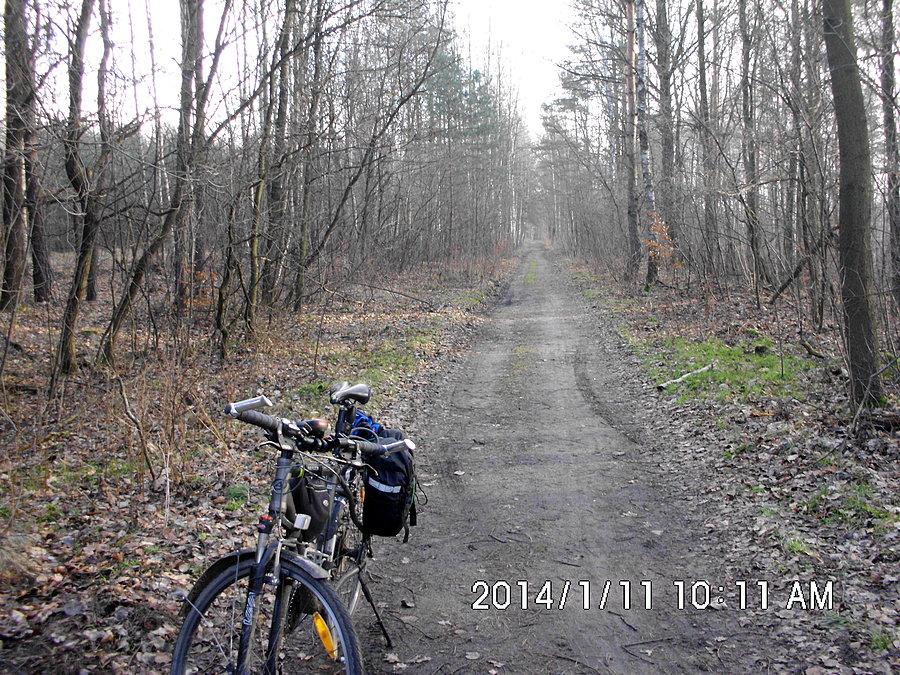 Na drodze Kokociniec-Radoszowy