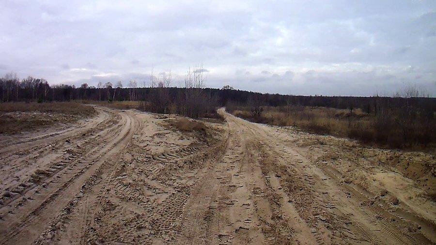 Wybór między dżumą a cholerą
