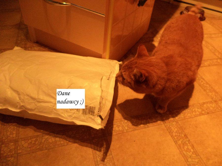 Sprawdza pocztę ;)