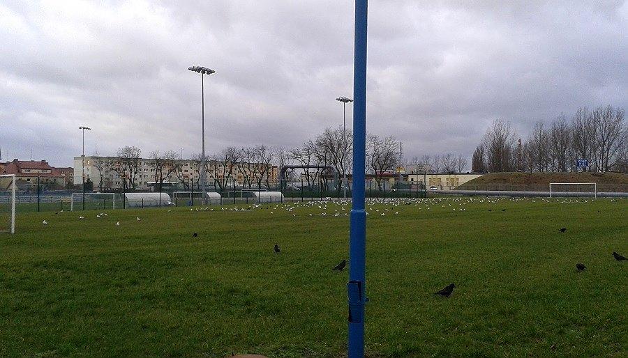 Mecz biali na czarnych