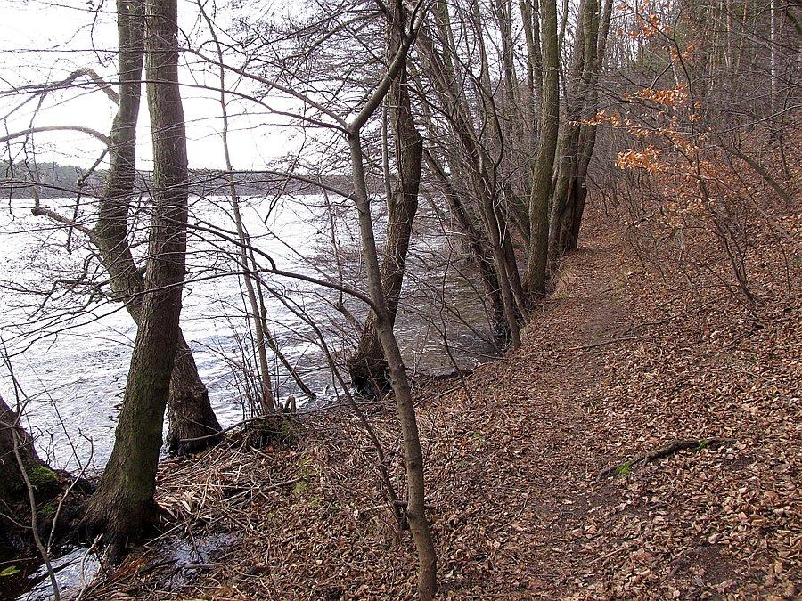 Sigletrack przy Jeziorze Kołatkowskim