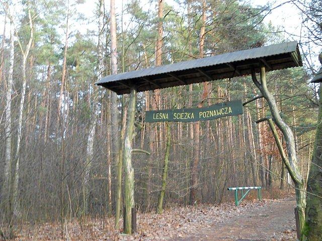 Nadleśnictwo Brynek