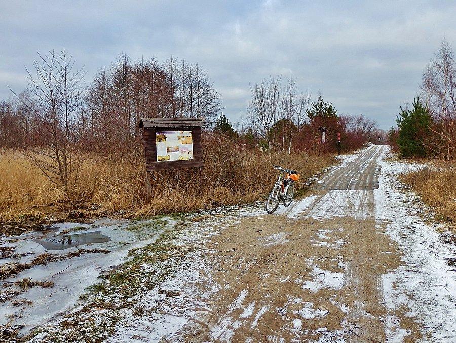 Wyjazd z plaży w Mikoszewie. Ścieżka przyrodnicza