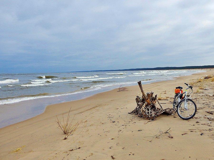 Plaża w Mikoszewie