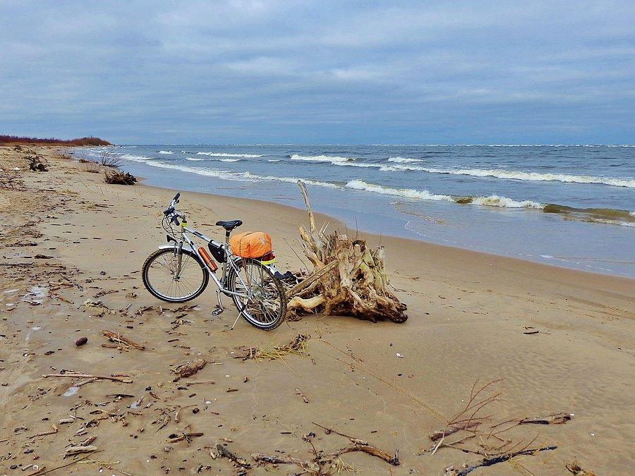Plaża w Mikoszewie