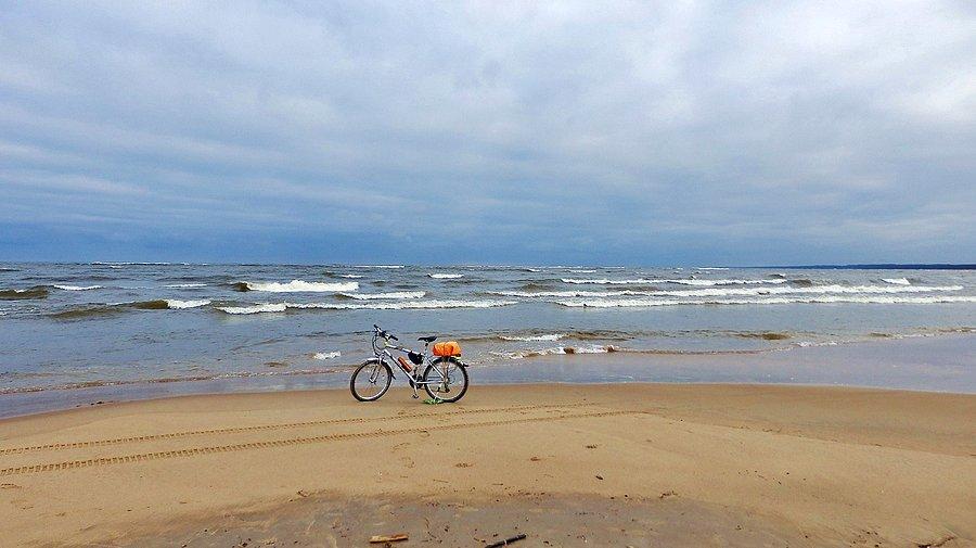 Plaża w Mikoszewie