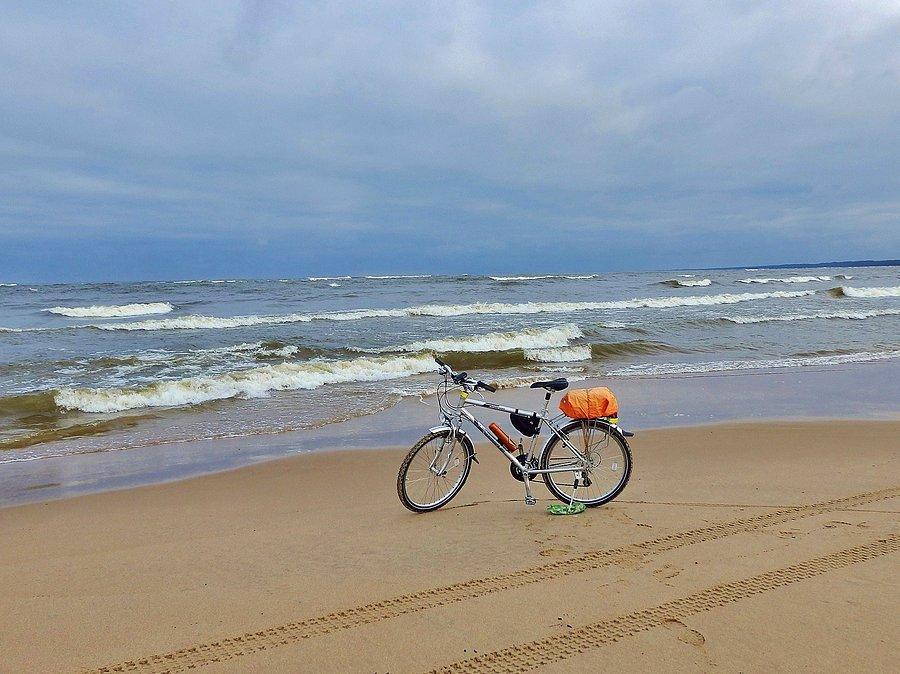 Plaża w Mikoszewie