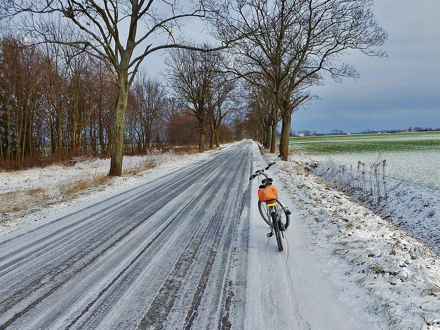 Na trasie wycieczki.Kierunek Mikoszewo