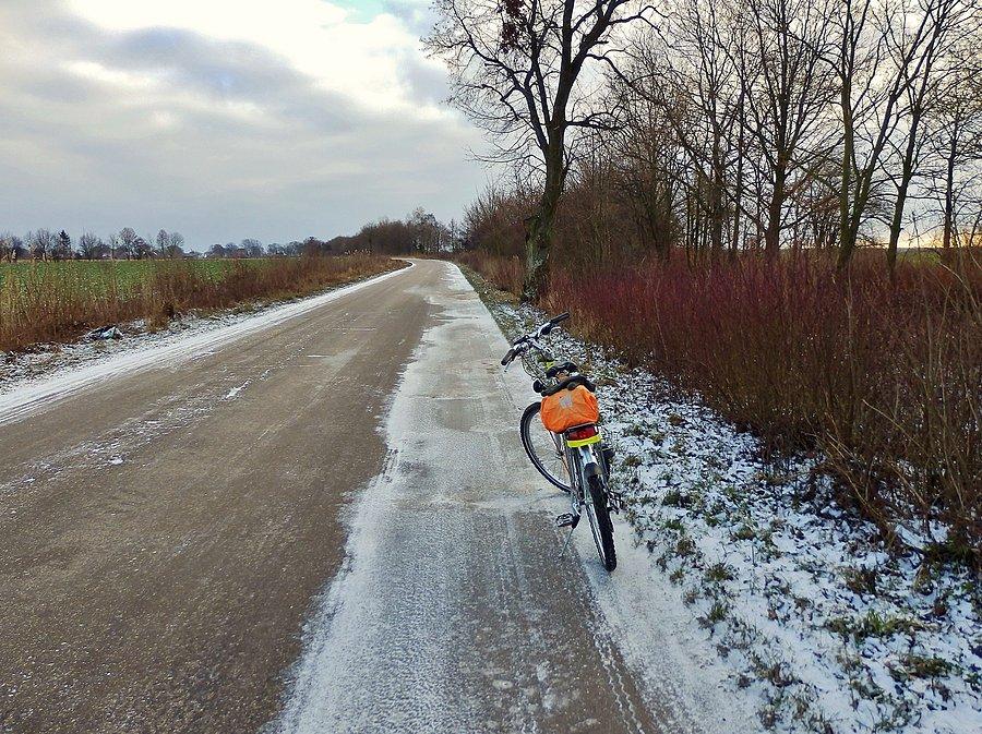 Na trasie wycieczki.Kierunek Mikoszewo