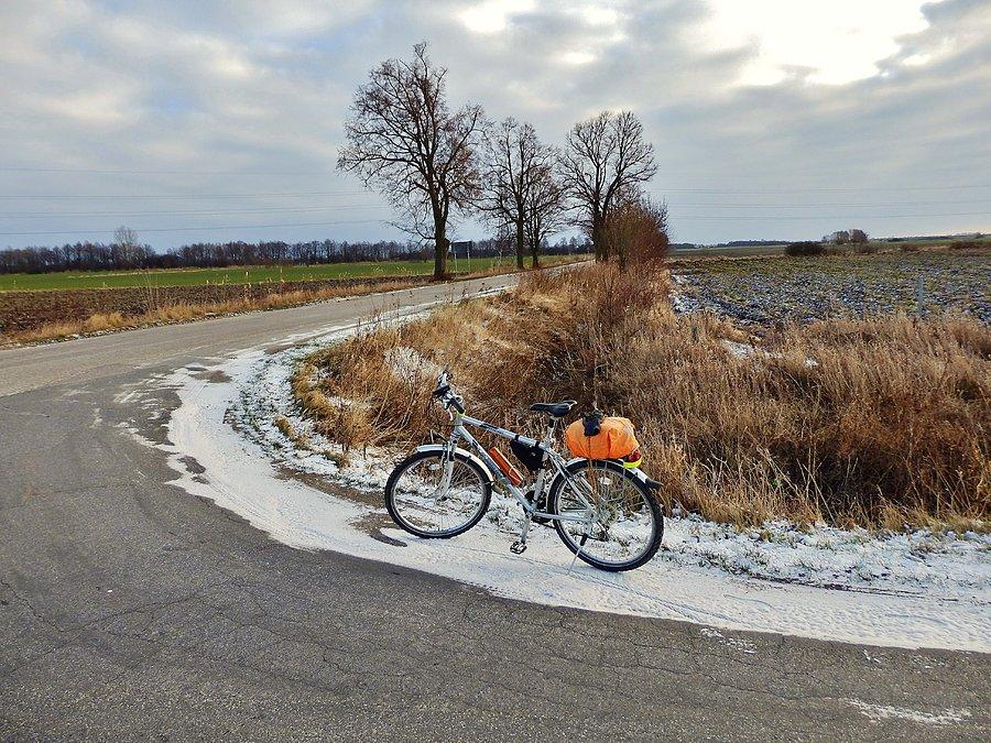 Na trasie wycieczki.Kierunek Mikoszewo