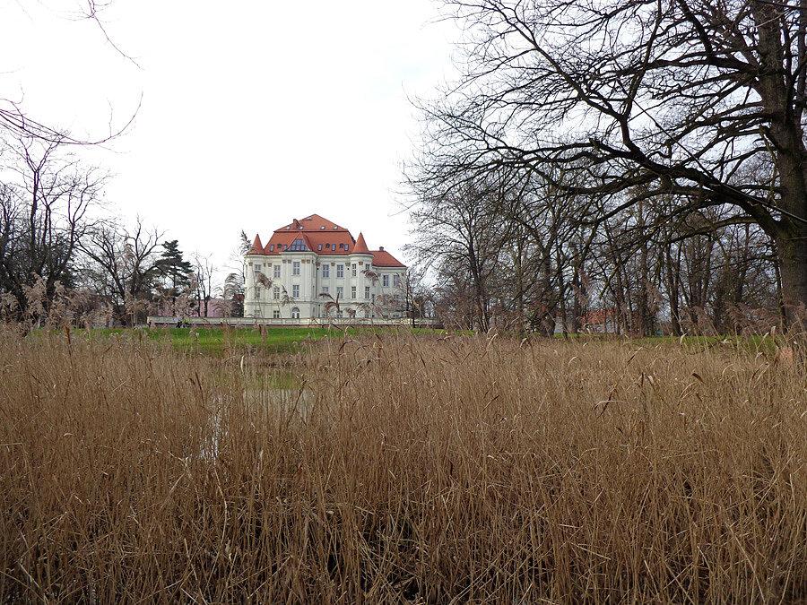 Zamek w Leśnicy