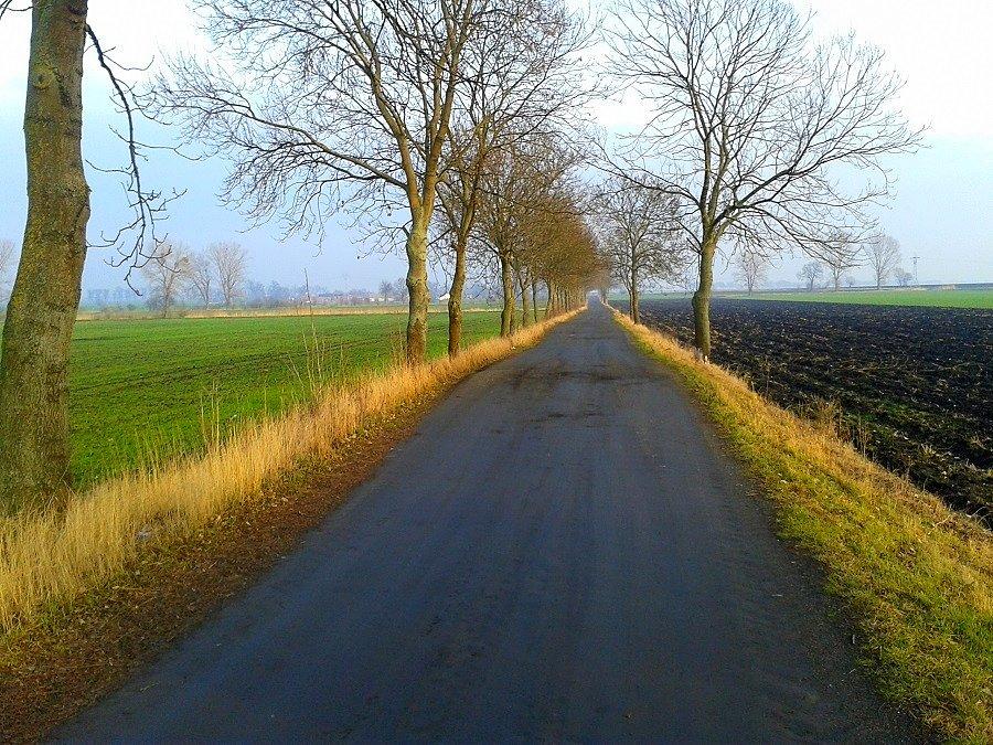 Kierunek Kłęby