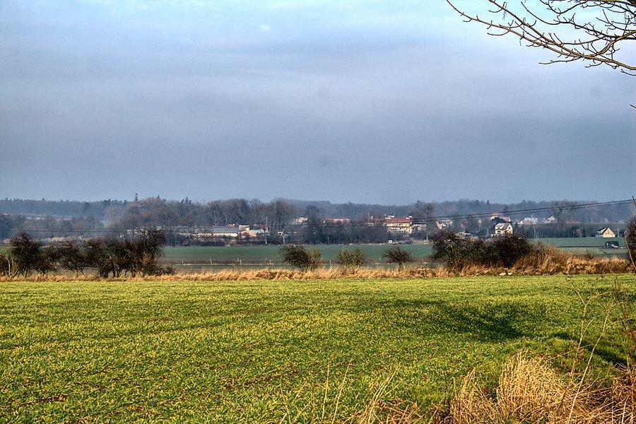 Widok na Małkocin od strony Klępina