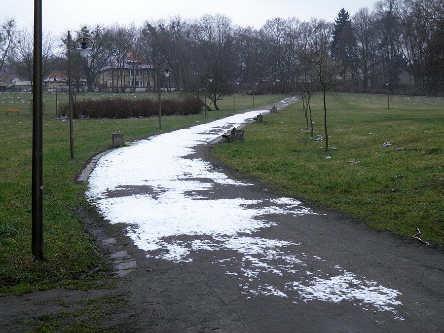 Po pierwszym śniegu w tym roku - pod Lasem Arkońskim