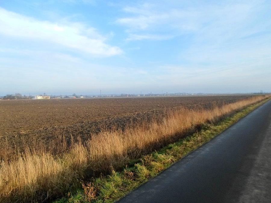 Widok na styczniowy Stawiszyn