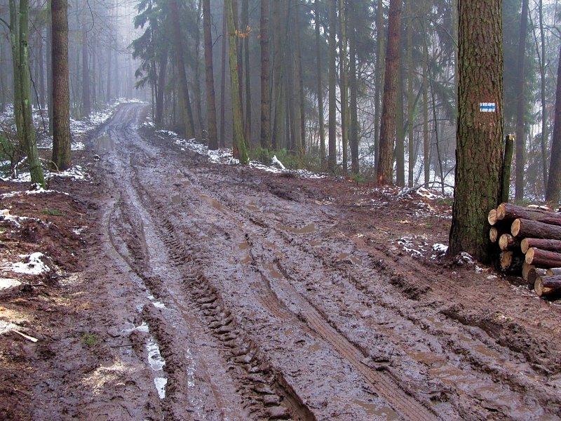 Droga Zielonka - Głęboczek, w takim błocie zrobiłem dziś wiele kilometrów