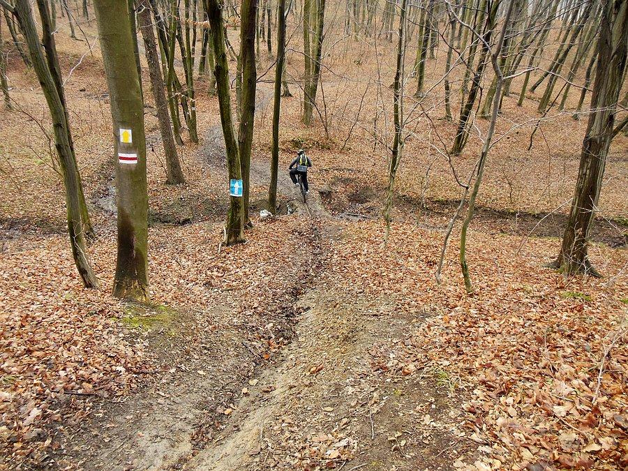 Błoto na czerwonym