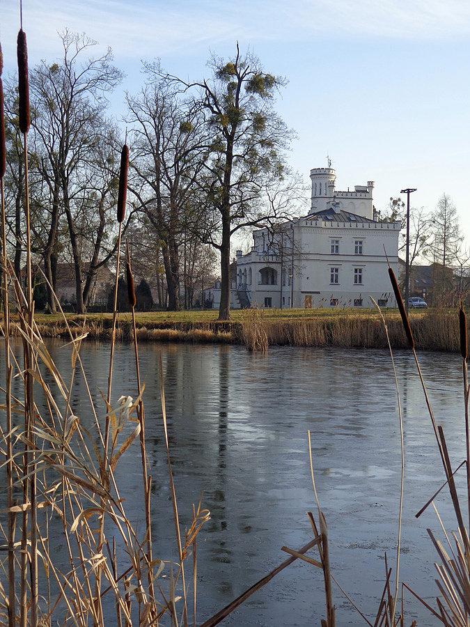 Pałac w mrozowie
