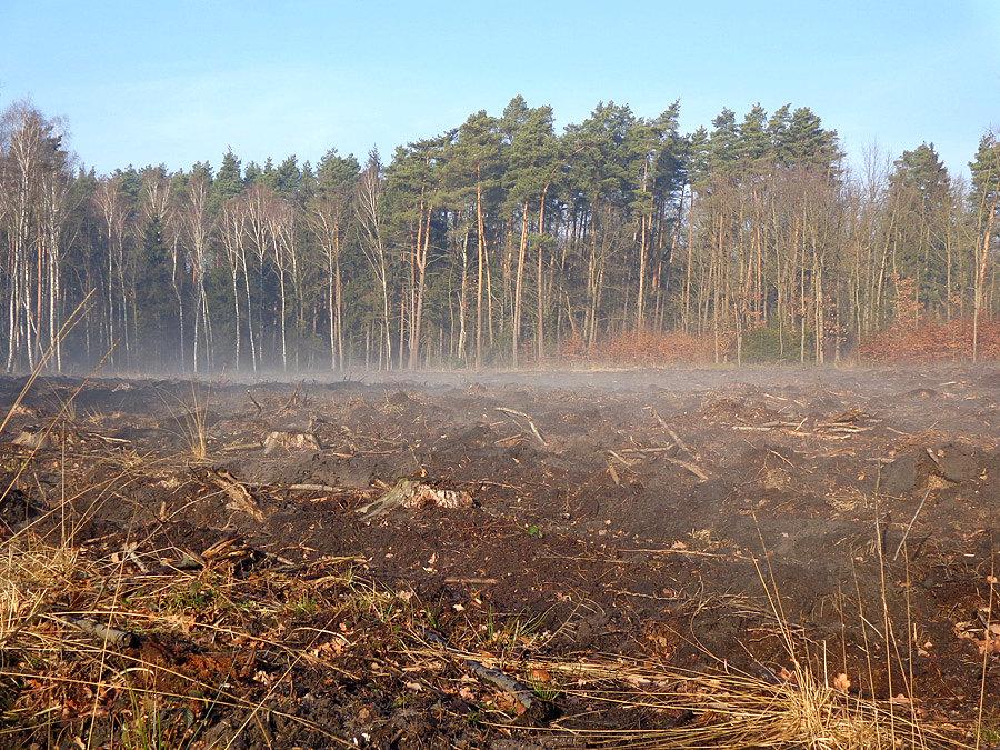 Parująca ziemia