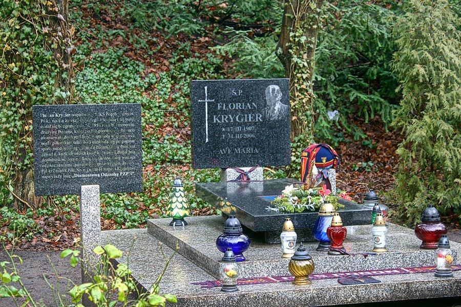 Nagrobek w Alei Zasłużonych