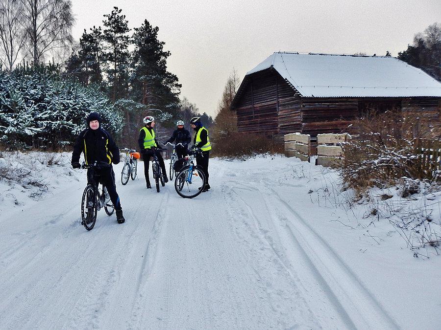 Wracamy do domu przez las Rokicki