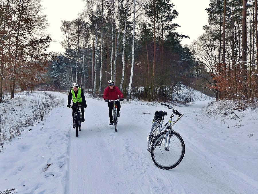 Wracamy do domu przez las Rokicki