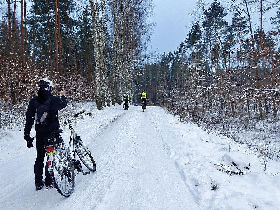 Wracamy do domu przez las Rokicki