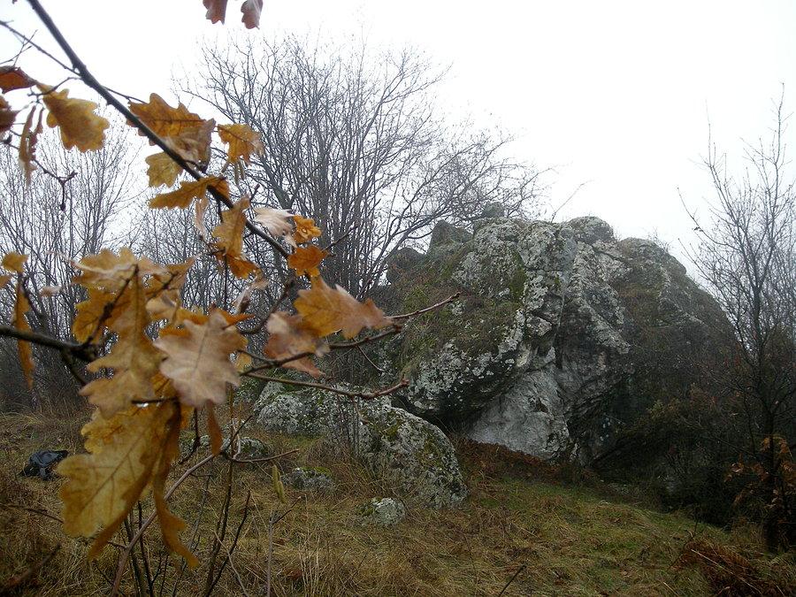 Skałki jurajskie