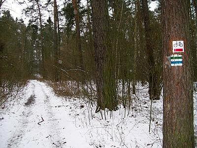 Ze szlaków korzystają piechurzy, rowerzyści i quadowcy. - styczniowe szlaki