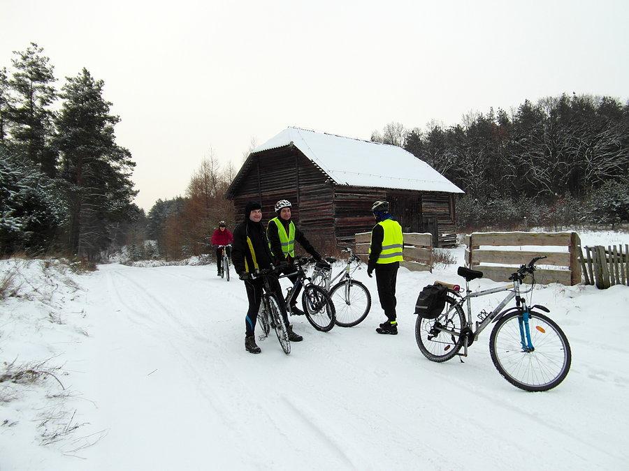 Postój w lesie