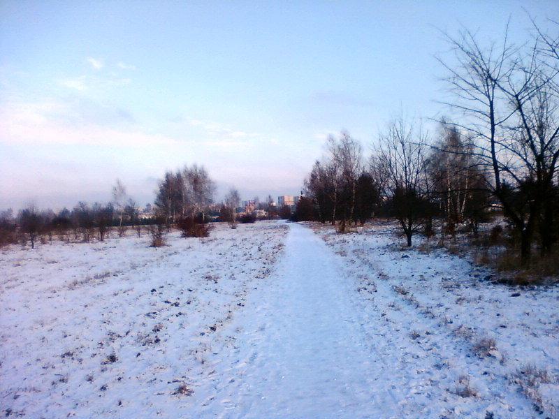 Widok w stronę Retkini