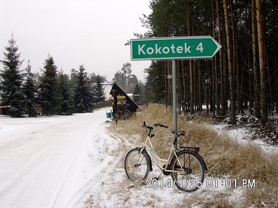 Czyli mały kokot