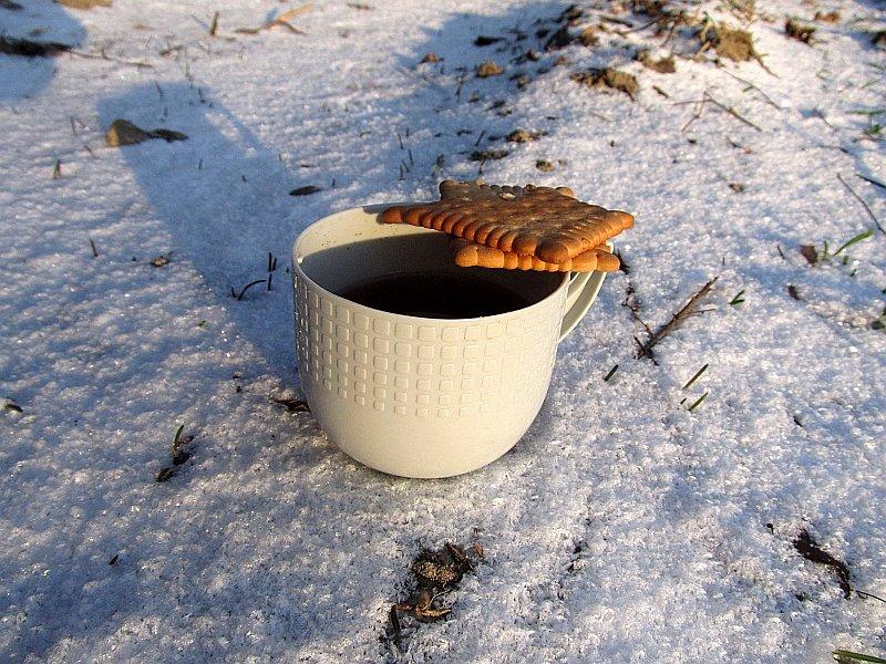 W temperaturze -12*C ciastko z herbatą smakują niepowtarzalnie