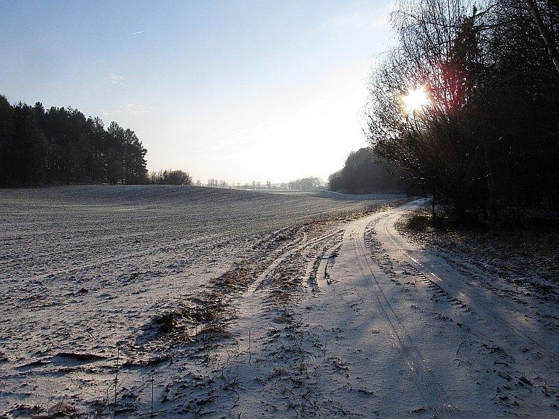 Jazda skrajem lasu przy Parku Krajobrazowym Puszcza Zielonka do Dębogóry