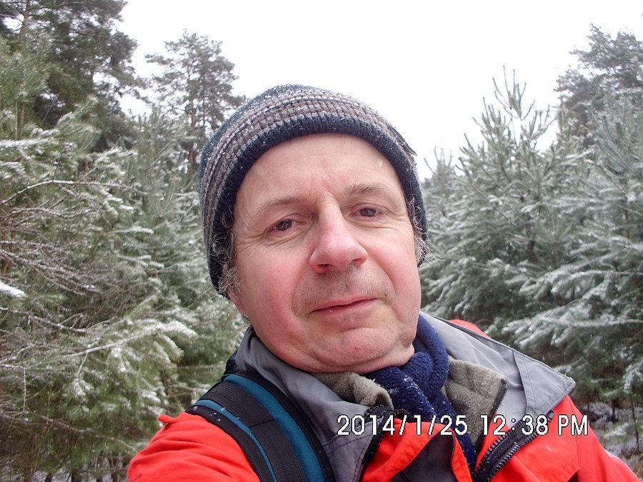 Śnieg przyprószył sosenki w koszęcińskim lesie