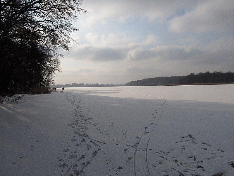 Jezioro Swarzędzkie skute lodem