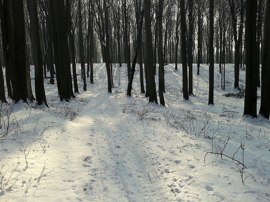 Niby ładnie