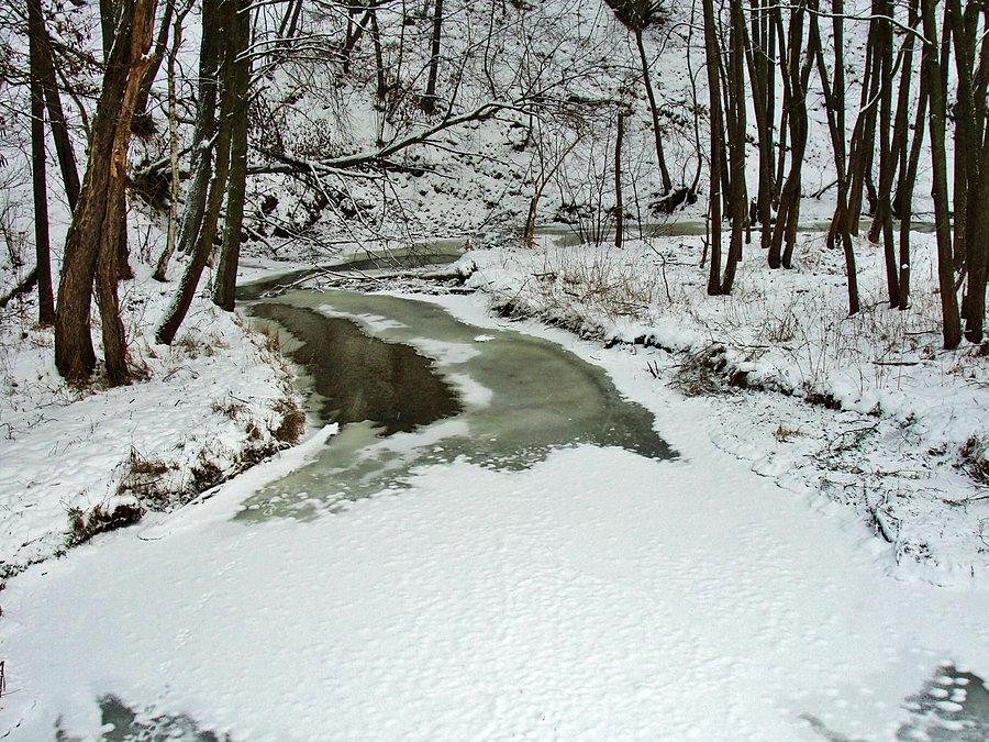 Na trasie wycieczki. Strumień zimą