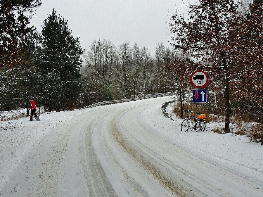 Na trasie wycieczki. Przez las