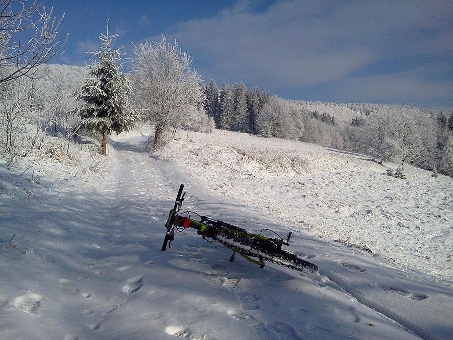 W zimowej scenerii